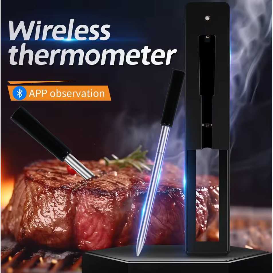 Jual TAKA Termometer Makanan Digital Daging BBQ Grill 2 Probe ...