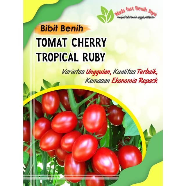Jual Benih sayuran buah tomat cherry Tropical ruby 3 biji bibit sayuran ...