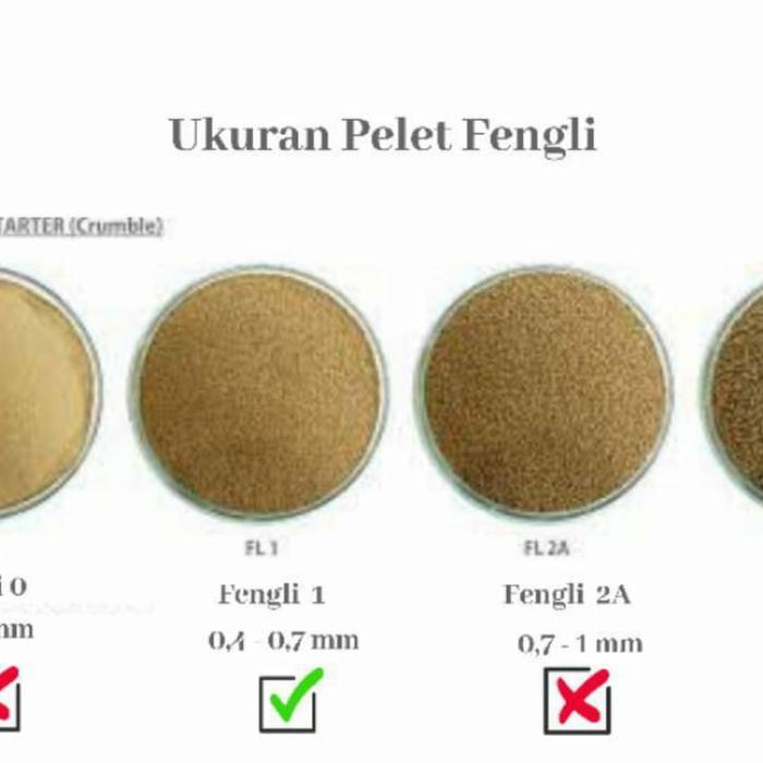 Jual FENGLI 1 kemasan 1kg | Shopee Indonesia
