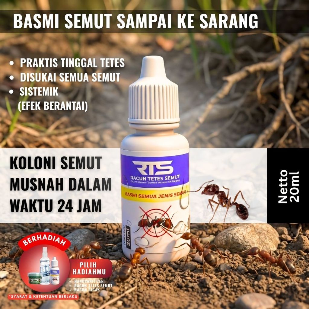Jual Racun Semut Tetes Pembasmi Koloni Semut, Basmi Semut Sampai ke ...