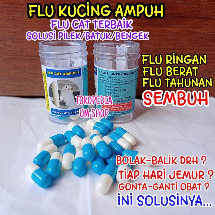 Jual Flu Kucing Ampuh Racikan Kucing Flu Paten Flu Cat Virus Bakteri ...