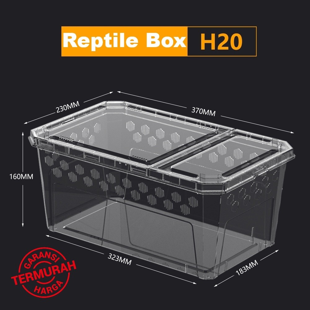 Jual Kandang Tarantula Enclosure Tarantula Box Reptil XL 37x23x16cm ...