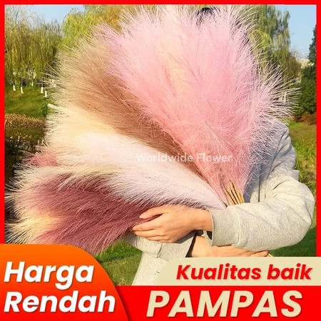 COD 12 PCS Rumput Pampas Sintetis, Buluh Palsu Hias, Untuk Buket Pernikahan & Dekorasi Vas Rumah DIY