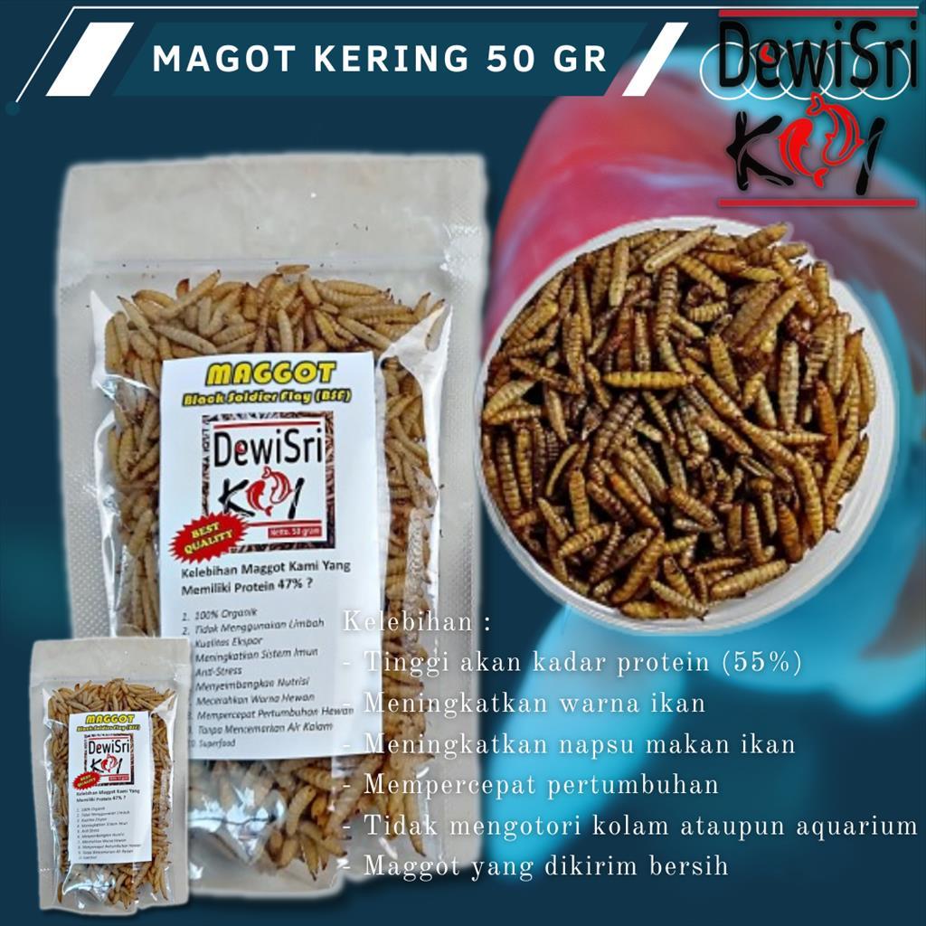 Jual Magot BSF Kering Maggot 50 G Protein Tingkat Tinggi Pakan Ikan Koi ...