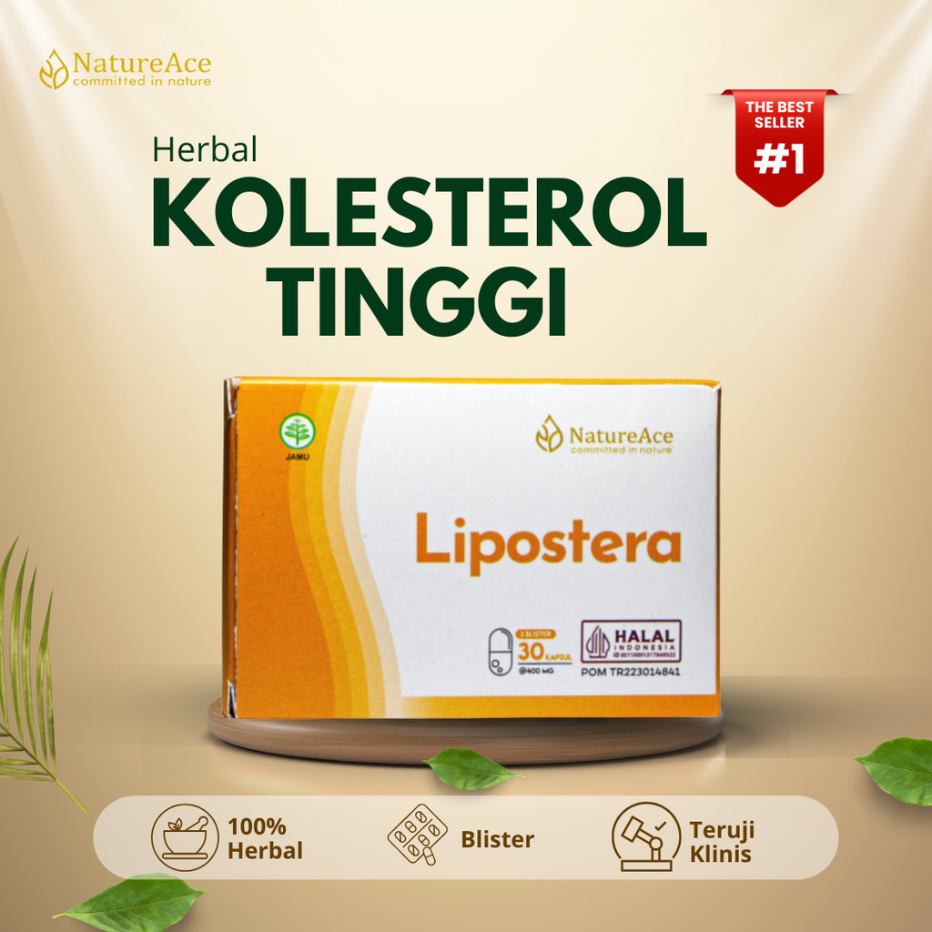 Nature Ace Obat Kolesterol Trigliserida Leher Kaku Bakar Lemak Jahat Penyumbatan Pembuluh Darah