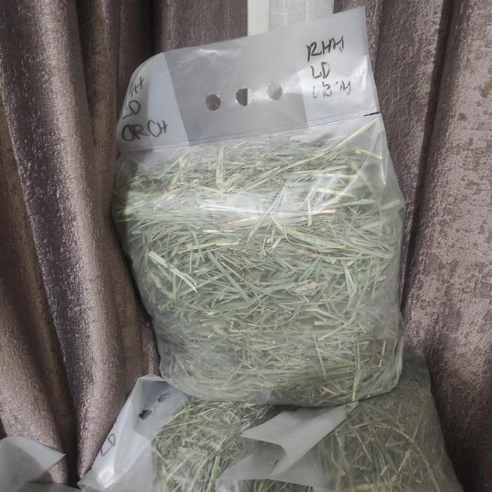 Jual rabbit hay hole orchard rumput hay repack 1 kg | Shopee Indonesia