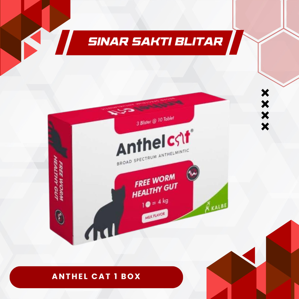 Jual ANTHEL CAT 1 BOX (30 TABLET) - Untuk Mencegah Masalah Cacing Pada ...