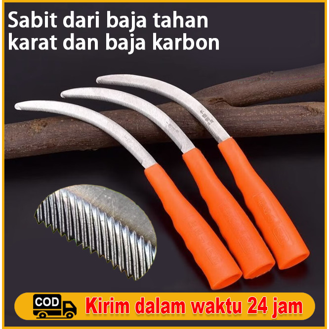 Sabit baja tahan karat, sabit pemotong rumput, sabit bergerigi pertanian, sabit kecil bergigi halus untuk memanen padi dan gulma.