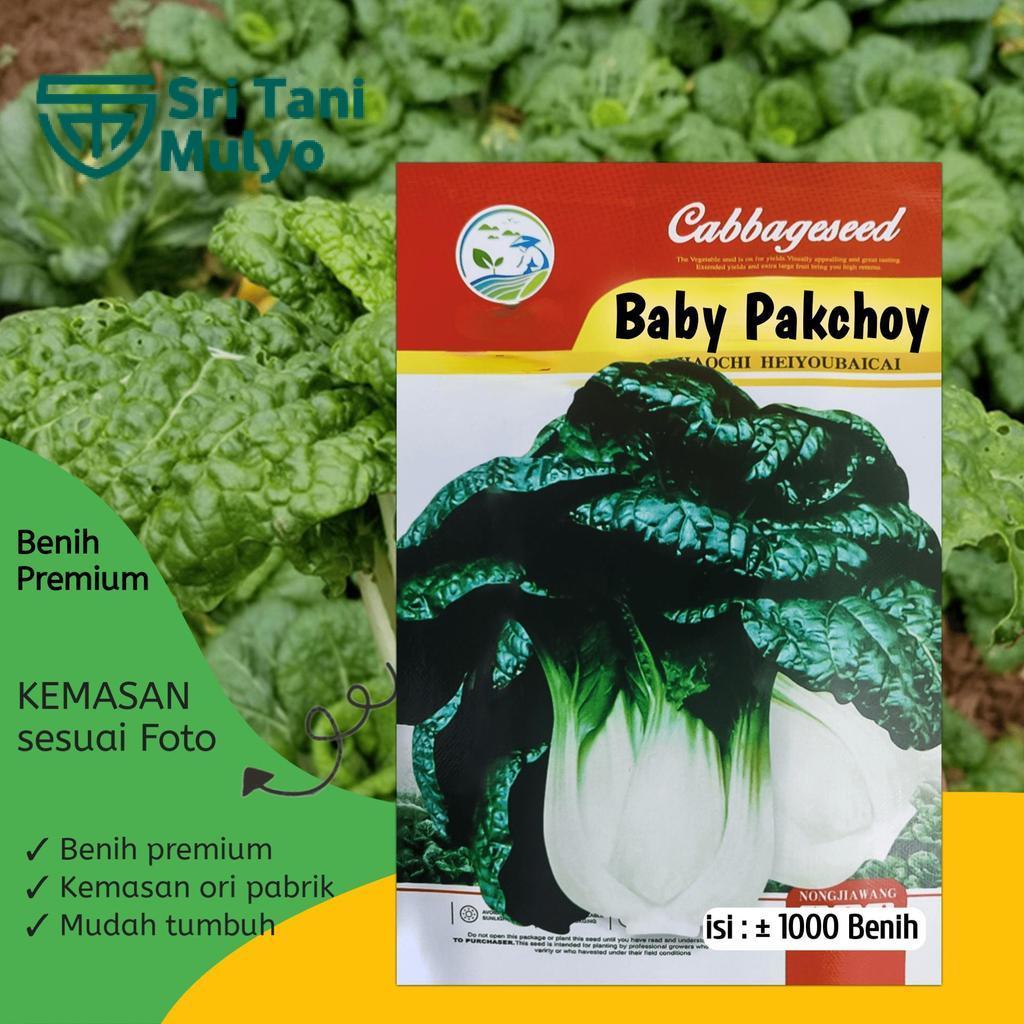 Jual 1.000 BENIH - Benih Sawi PAK CHOY MINI, pak coy dwarf kecil Mudah ...