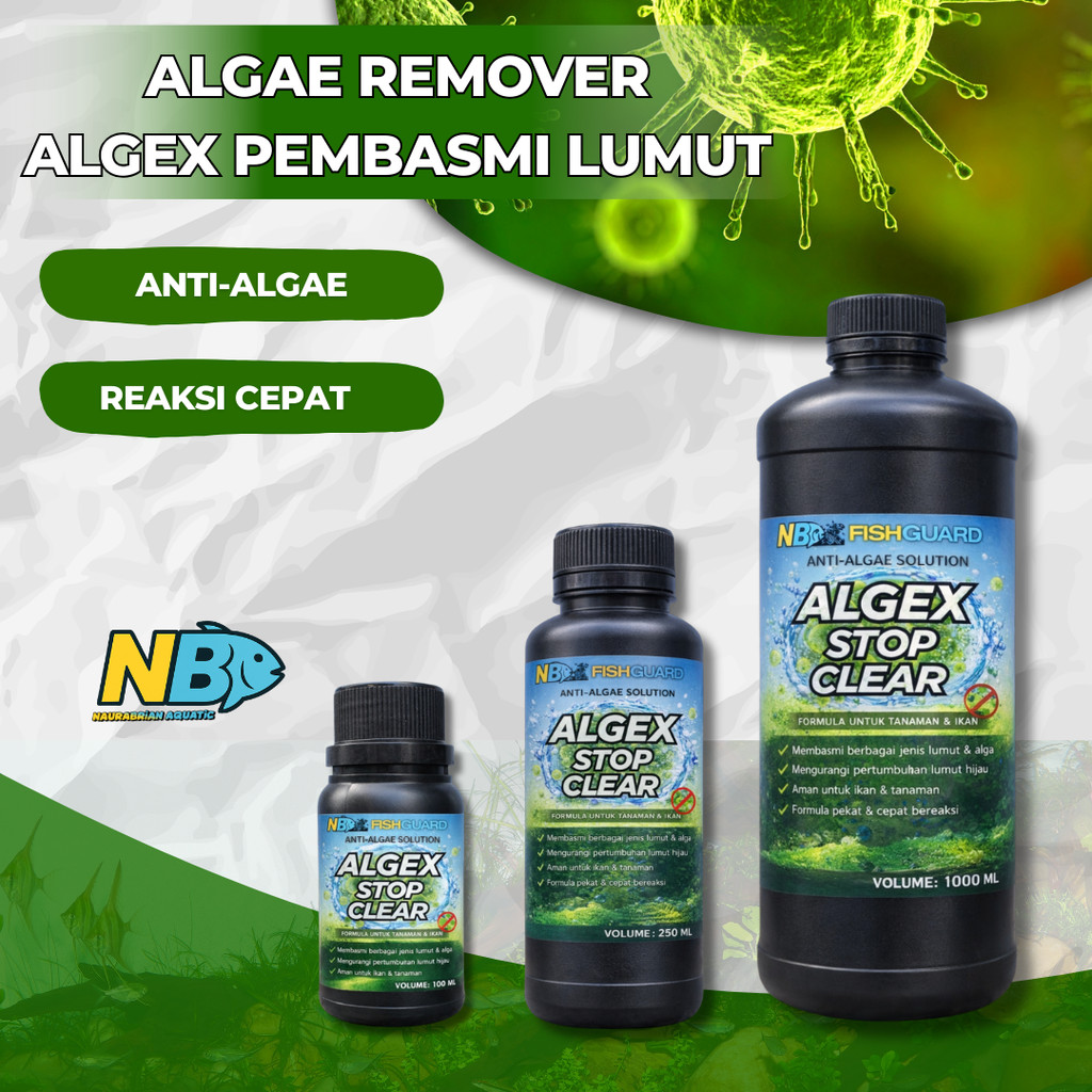 Jual Algae Remover Penghilang Pembasmi Alga Algae Lumut Aquarium ...