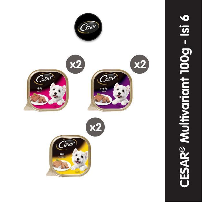 Jual Cesar Makanan Anjing Premium Multivariant 100gr - Isi 6 Rasa Lamb ...