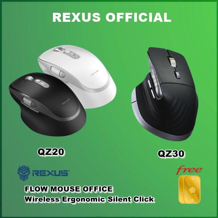 Jual Rexus Flow QZ20 / QZ30 Wireless Office Mouse Ergonomic Silent ...