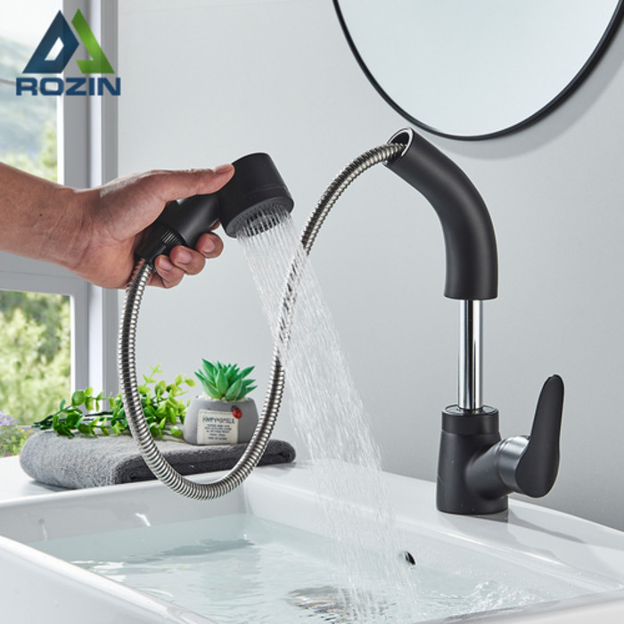 Jual Rozin Extendable Lift Basin Faucet with Flexible Pull Out Sprayer ...