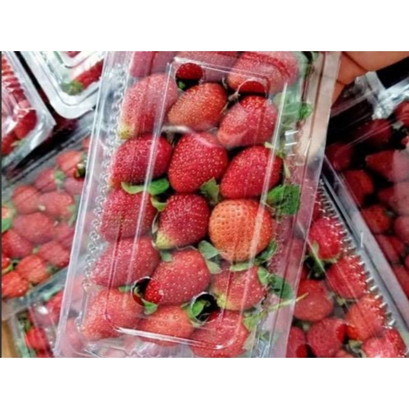 Jual stroberi fresh 250 gram | Shopee Indonesia