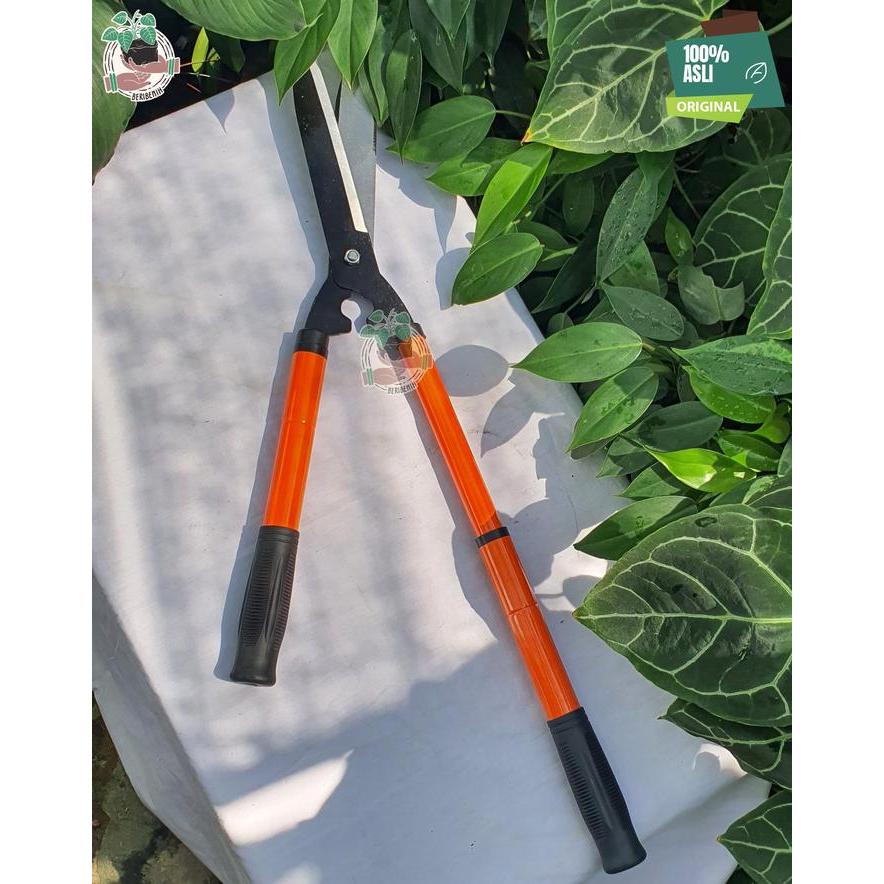 Jual 
