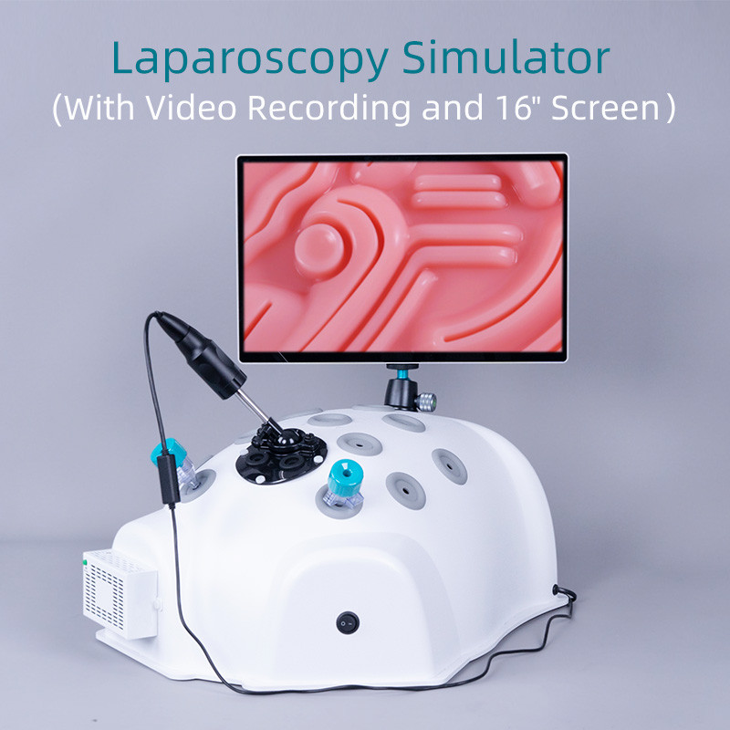 Jual Laparoscopy Simulator Laparoscopic Training Box Endoscopy Trainer ...