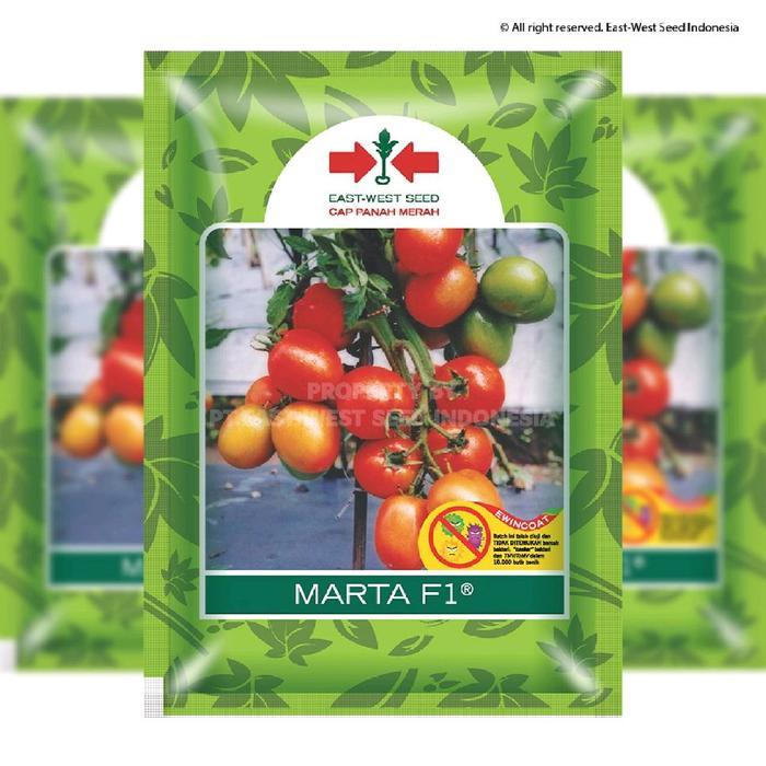 Jual best produk] Benih TOMAT MARTA F1 150 Biji / Seed ORI Cap Panah ...