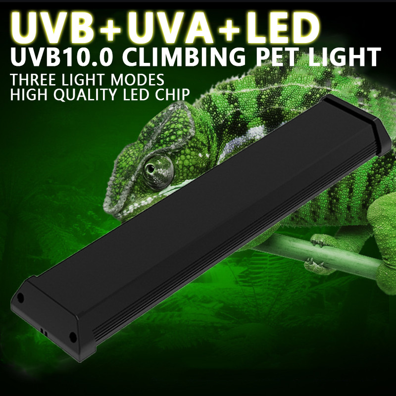 Jual UVA+UVB Reptile Full Spectrum LED Lamp Lizard 10.0 Calcium ...