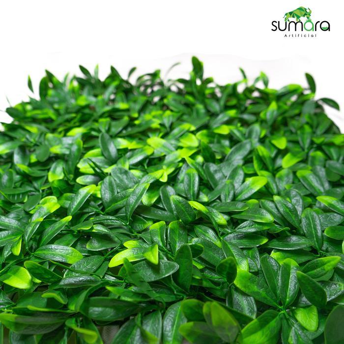Jual Chantelna_ Wall Panel Azalea Leaves - Daun Teh, Daun Sintetis ...