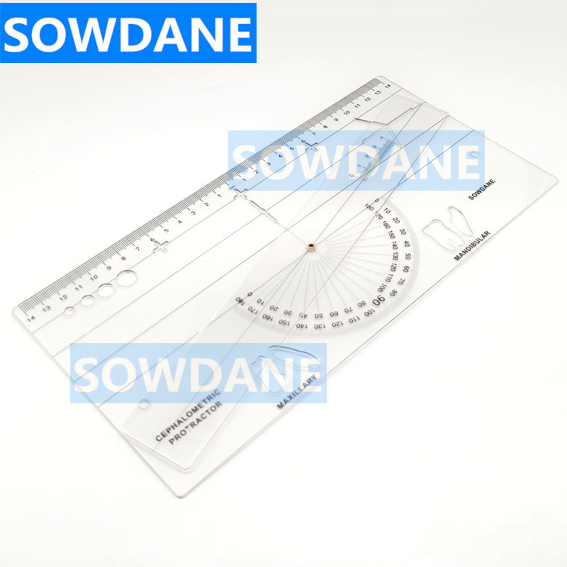 Jual New Dental Guide Plate Dental Cephalometric Ruler X-ray Protractor ...