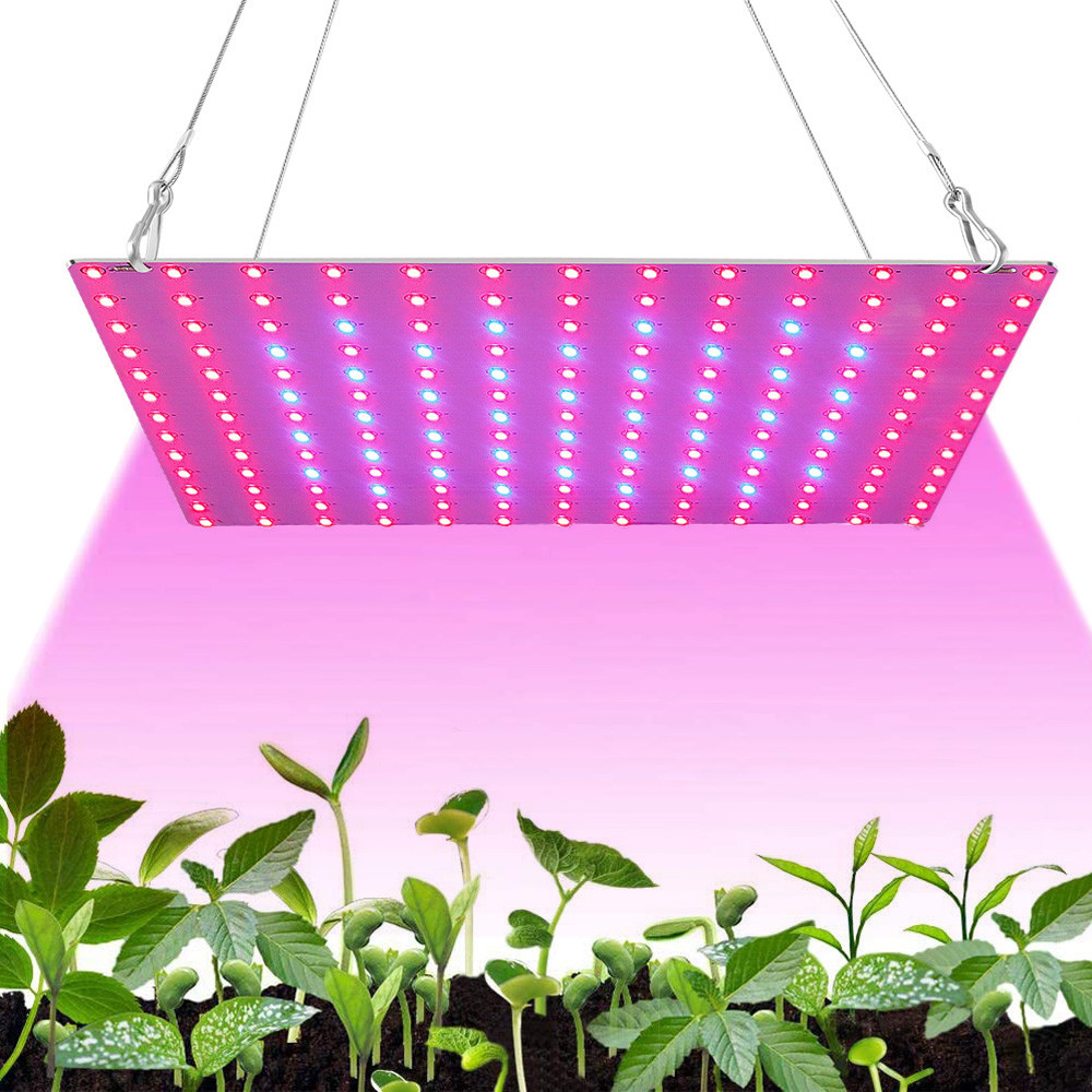 Jual Led Plant Grow Light 1000W/2000W Full Spectrum Hydroponic Growing ...