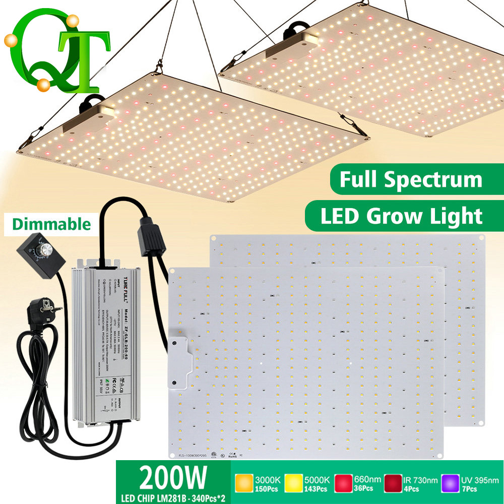 Jual Led Full Spectrum Grow Light 100W/200W Lm281B Dimmable Plant Lamp ...