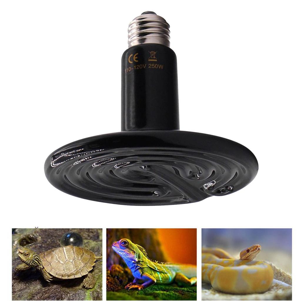 Jual E27 Reptile Heating Lamp Heat Bulb Fixture No Lights Brooder Snake ...