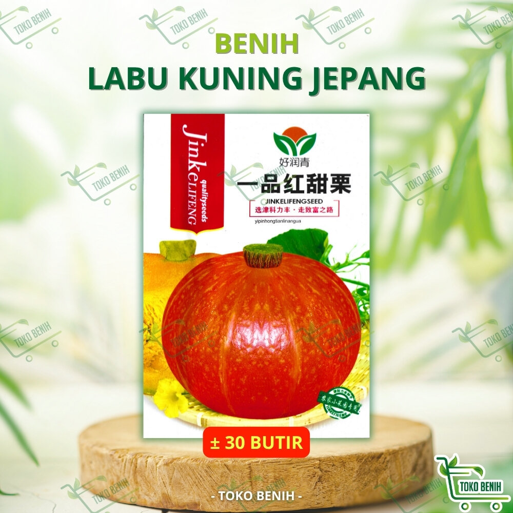Jual ± 30 BUTIR BENIH IMPORT LABU JEPANG KABOCHA ORANGE / KUNING ...