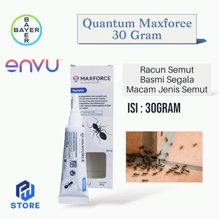 Jual BERKUALITAS Racun Semut Maxforce Quantum 30Gr Basmi Segala Jenis ...