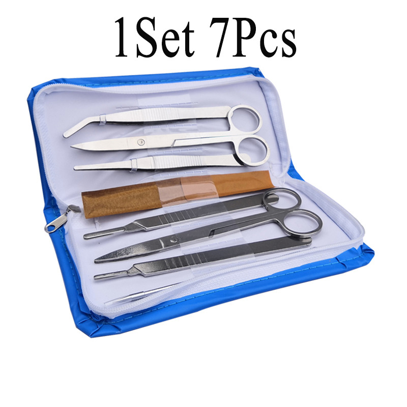 Jual Biological Dissector Stainless Steel Insect Dissecting Probe ...