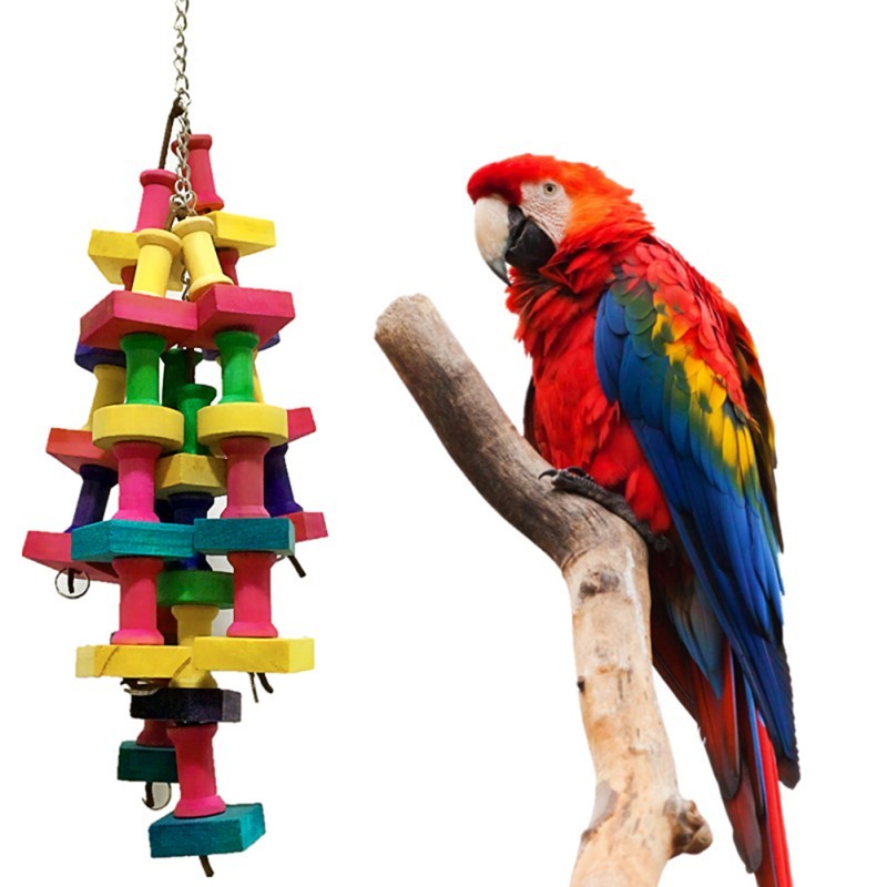 Jual Building Blocks Toys Pet Rainbow Bite String Toys Chewing Toy for ...