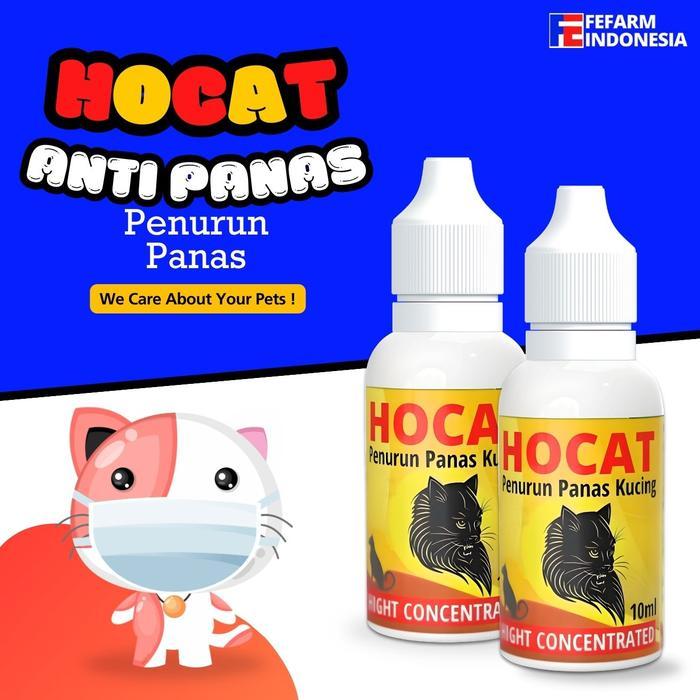 Jual Hocat 10 ml Obat Penurun Demam Panas Pada Kucing FEFARM | Shopee ...