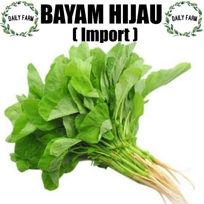 Produk Daily Plantz | Shopee Indonesia