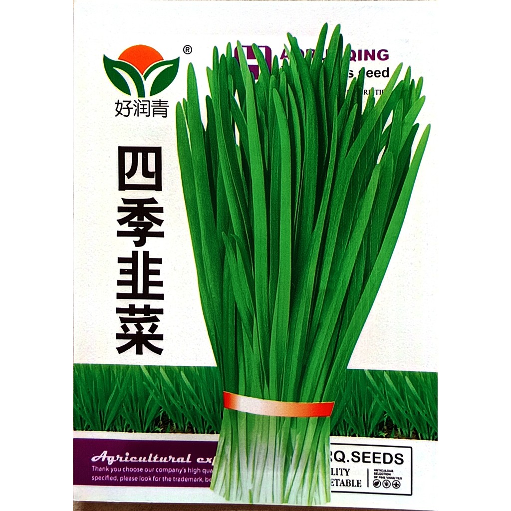 Kemasan Premium SP(-+220 Butir) Biji Benih Sayuran Daun Bawang Kucai Impor