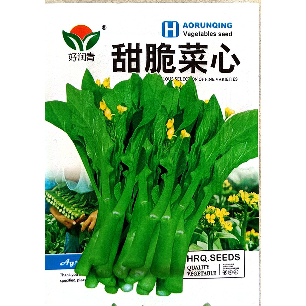 Kemasan Premium (-+760 Butir) Biji Benih Sayuran Sawi Manis Hongkong | Sawi Bunga | Caisim Manis Impor