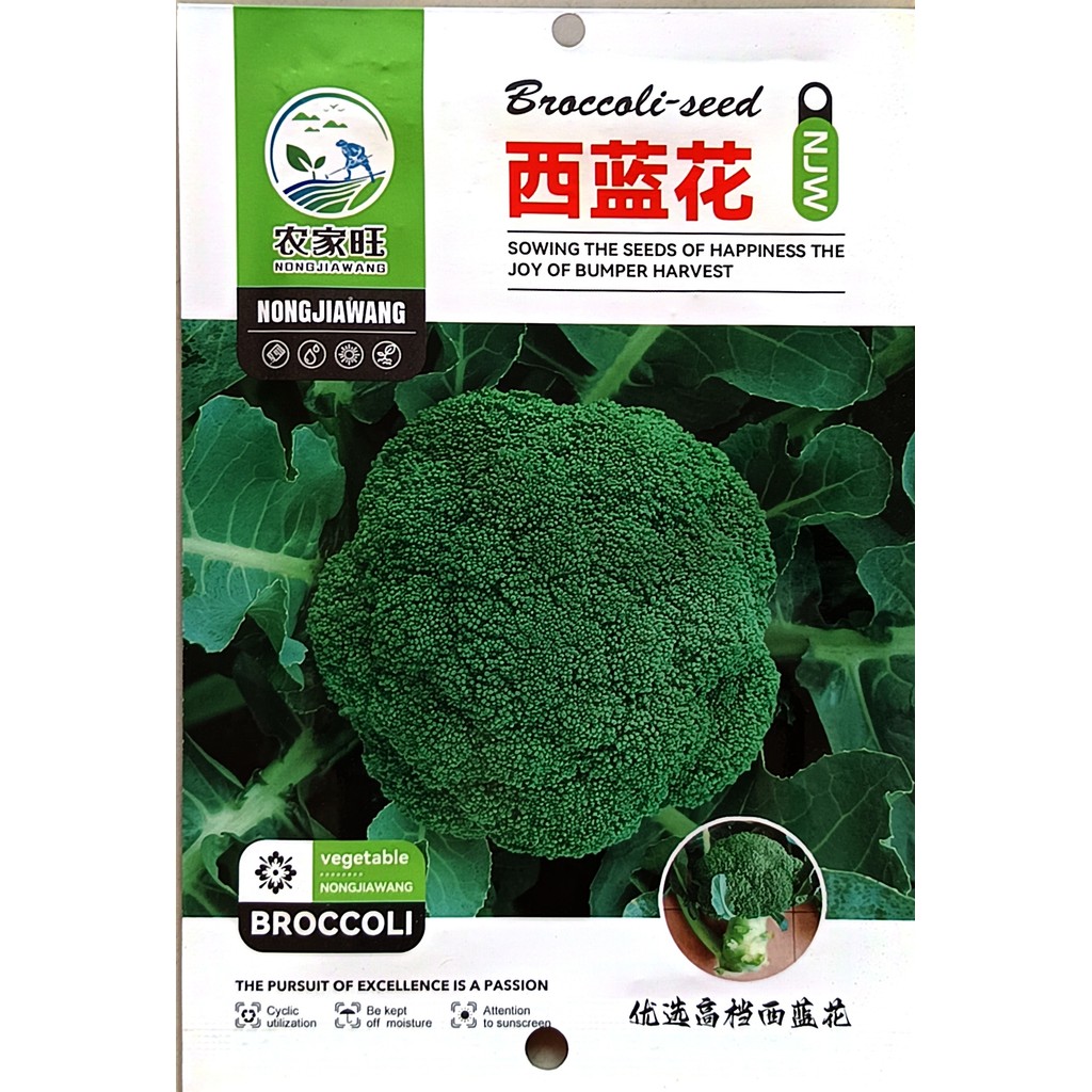 Kemasan Premium (-+100 Butir) Biji Benih Sayuran Brokoli Hijau | Green Broccoli Impor