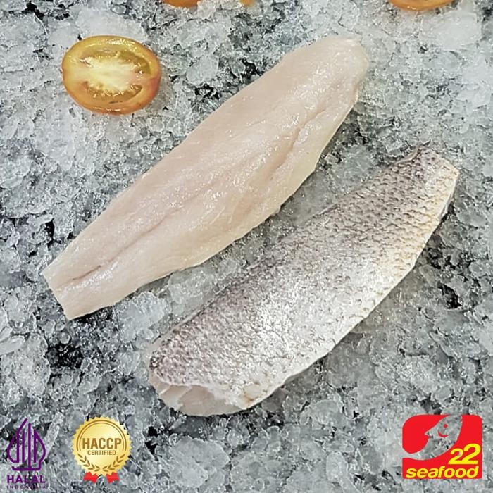 Jual Pilihan- Ikan Samge Fillet 500 Gr / Ikan Gulama Samge / Ikan Laut ...