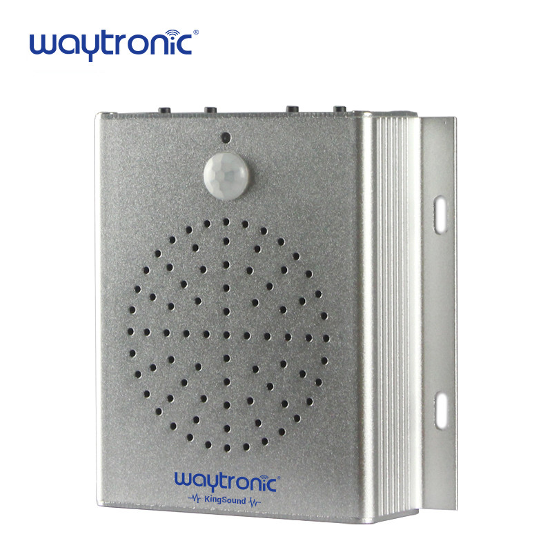 Jual Infrared Pir Sensor Sound Player Speaker Welcome Alarm With Voice ...