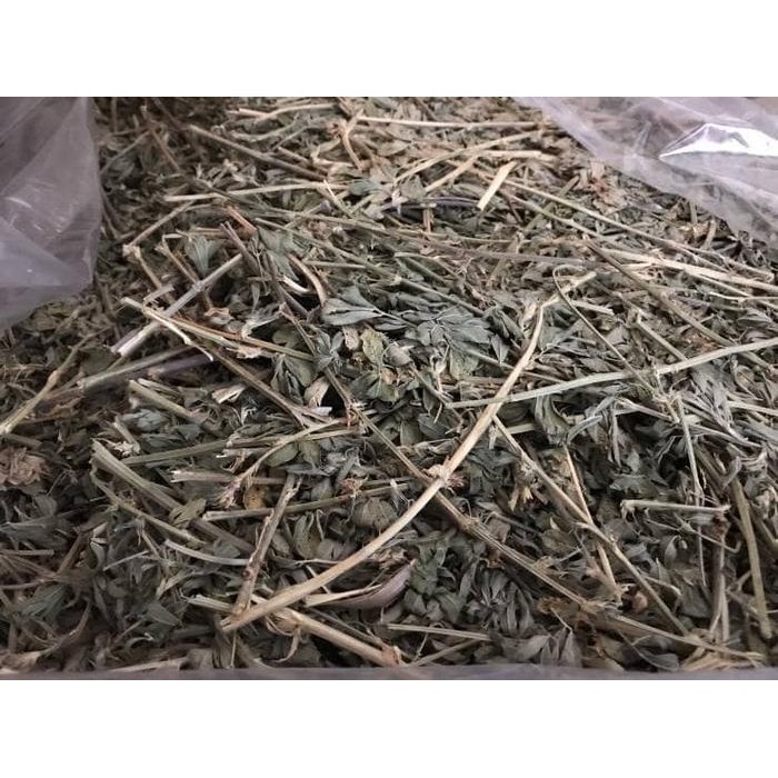 Photo inspiration: Gallery Detail: Jual Petshopq Repack Ultra Premium Alfalfa Hay By Rabbit Hole