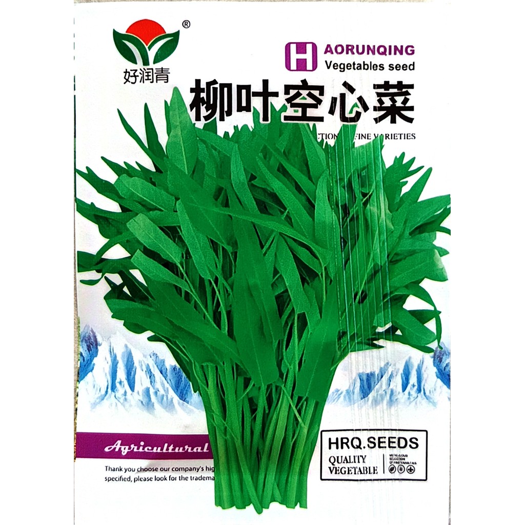 Kemasan Premium (-+60 Butir) Biji Benih Sayuran Kangkung Cina Impor