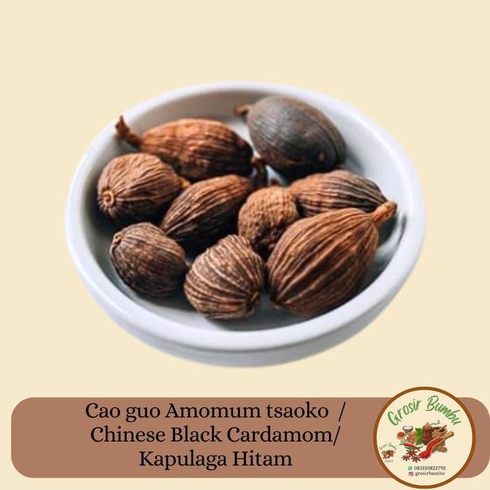 Jual Cao guo Amomum tsaoko - 500gr / Chinese Black Cardamom/ Kapulaga ...