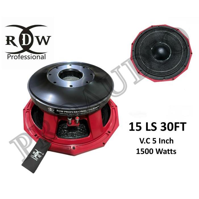 Jual Speaker Subwoofer RDW 15