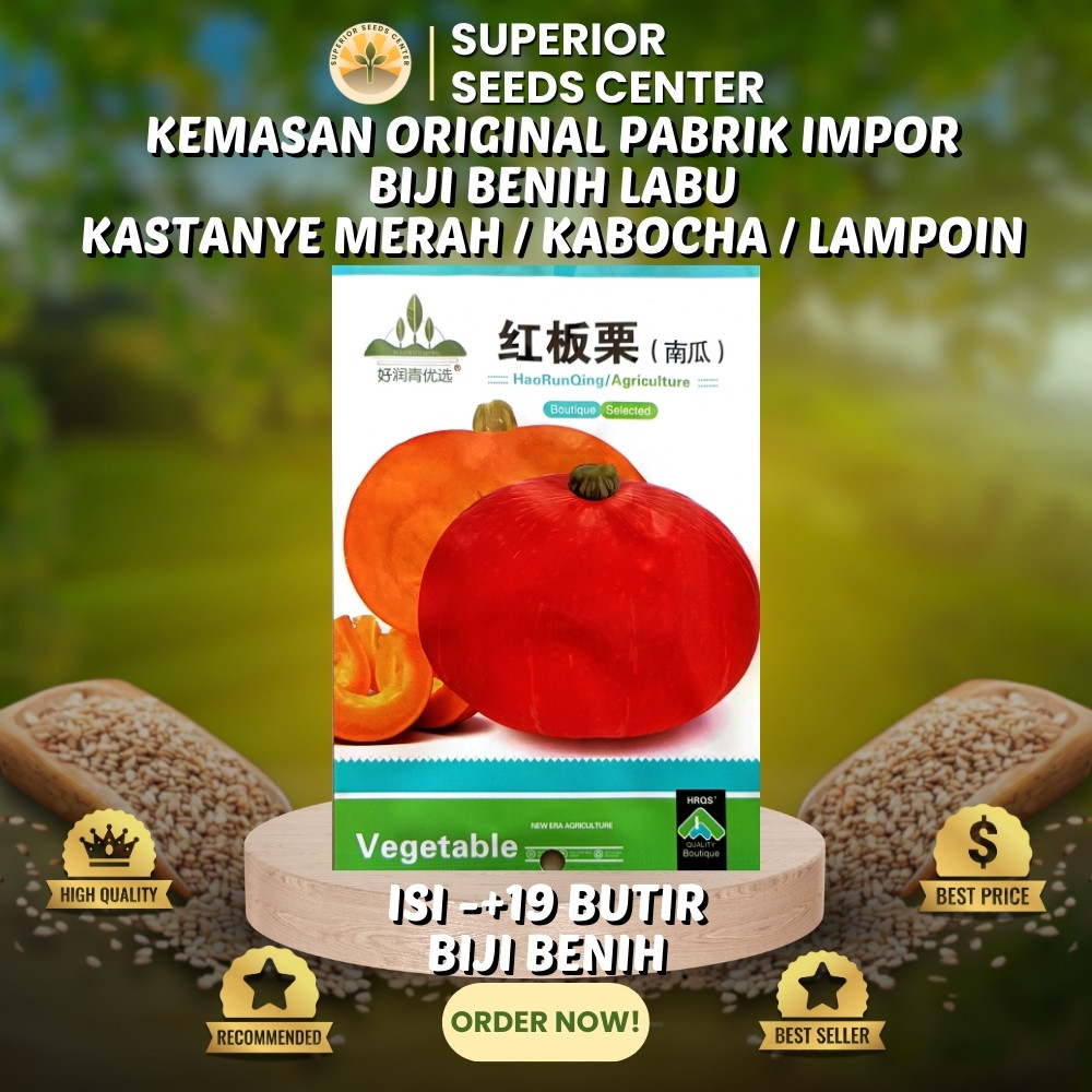 Jual 19 Butir Biji Benih Labu Kabocha | Lampion | Kastanye Merah ...