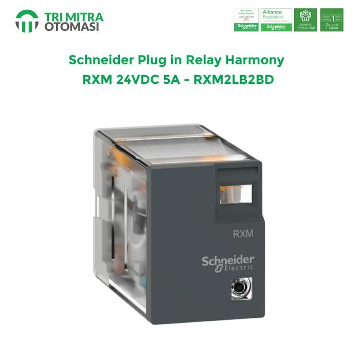 Jual Schneider Plug in Relay Harmony RXM 24VDC 5A - RXM2LB2BD | Shopee ...