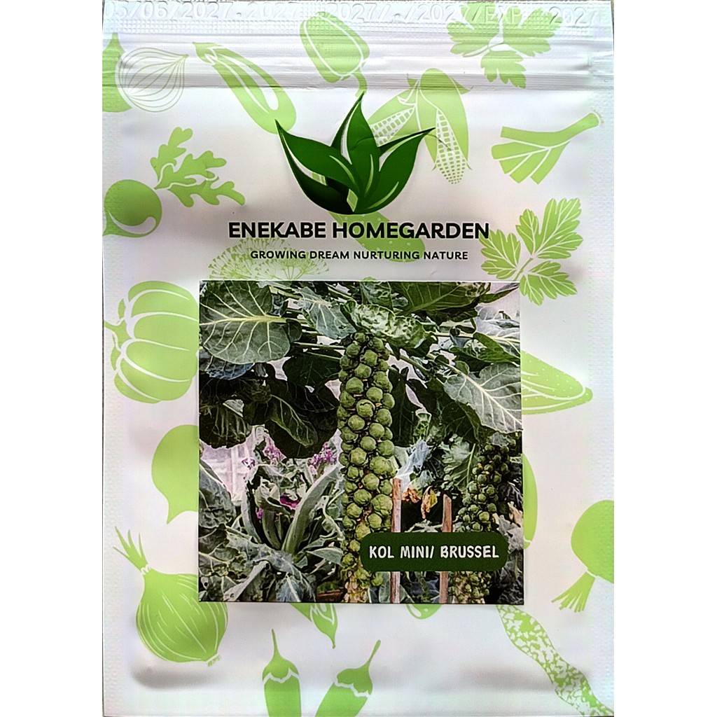 Kemasan Premium (-+250 Butir) Biji Benih Sayuran Kubis Mini Hijau | Brussel Sprouts | Kol Mini Impor