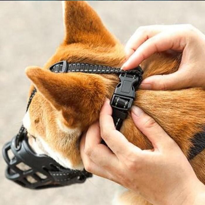 Jual Dog Muzzle Anti Bark Bite Chew Safety Brongsong 5 Ukuran ...