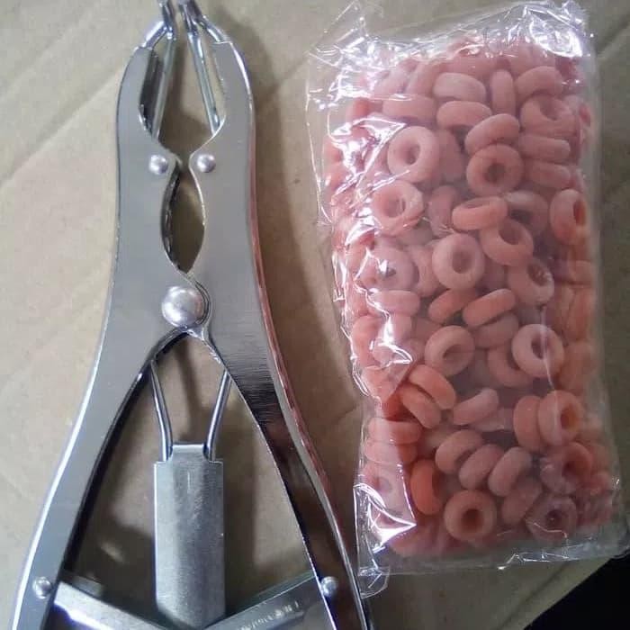 Jual Castrator Castration with 100 ring ( alat kastrasi alat kebiri ...