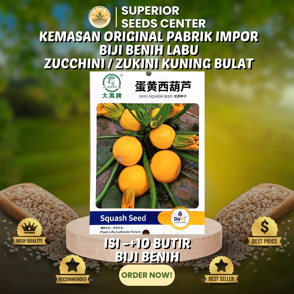 Jual 10 Butir Biji Benih Labu Zukini | Zucchini Kuning | Golden Bulat ...