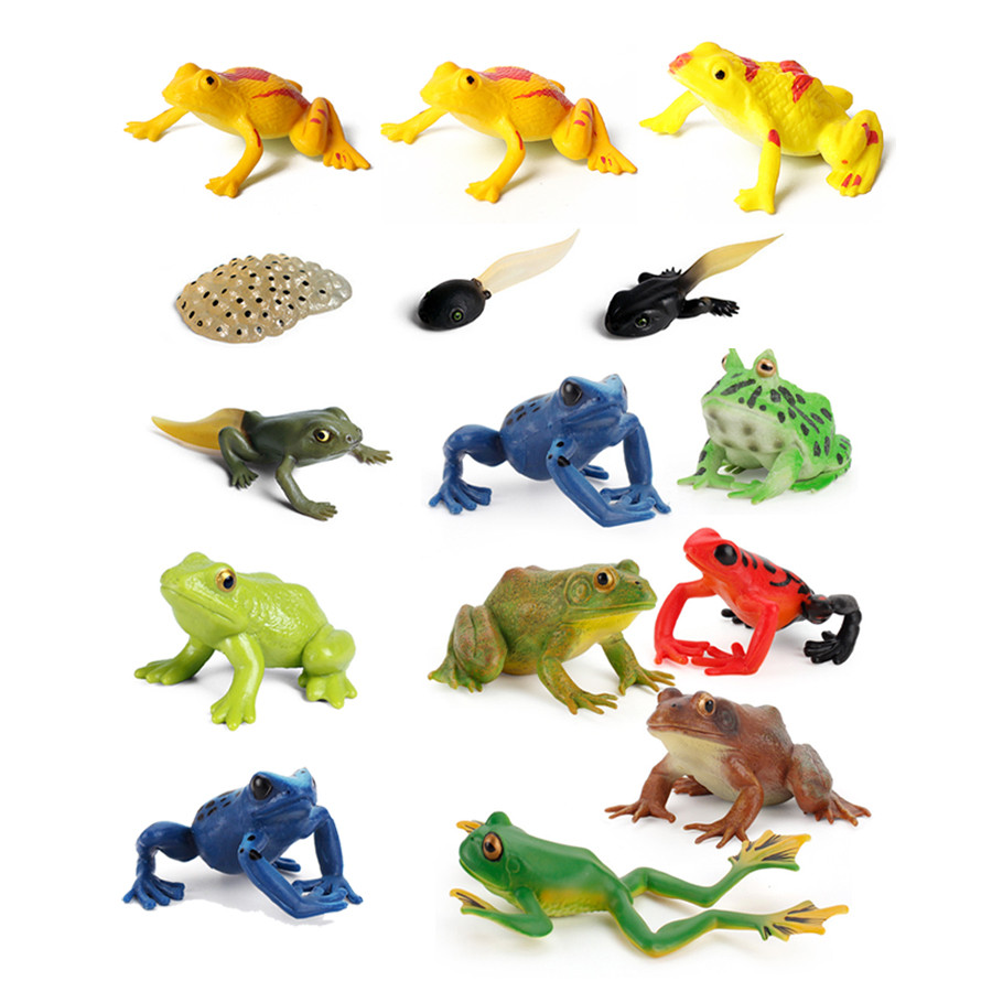 Jual Realistic Plastic Colorful Poison Dart Frogs,Tree Frog Tadpole ...