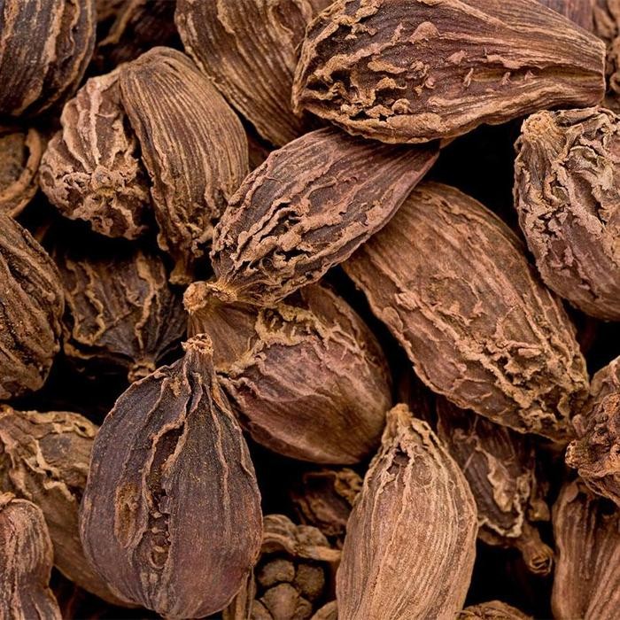 Jual Cao guo Amomum tsaoko 250gram / Chinese Black Cardamom/ Kapulaga ...